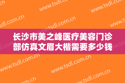 长沙市美之峰医疗美容门诊部仿真文眉大楷需要多少钱?好不好?