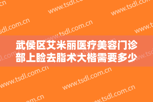 武侯区艾米丽医疗美容门诊部上睑去脂术大楷需要多少费用?靠谱吗?