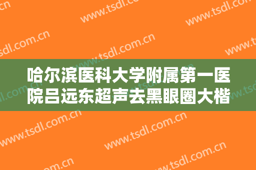 哈尔滨医科大学附属第一医院吕远东超声去黑眼圈大楷需要多少钱?怎么样?