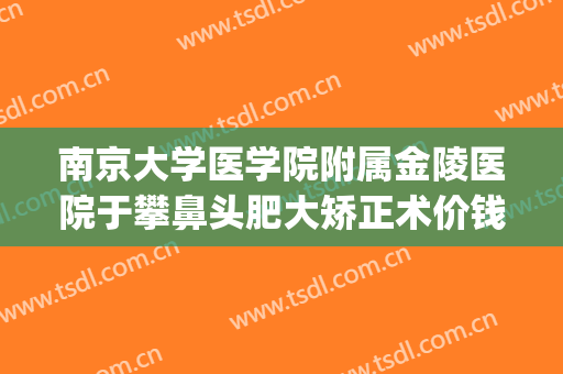 南京大学医学院附属金陵医院于攀鼻头肥大矫正术价钱?可靠吗?(南京鼻整形)