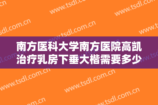 南方医科大学南方医院高凯治疗乳房下垂大楷需要多少费用?靠谱吗?