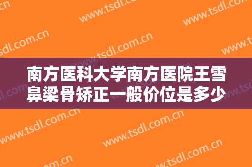 南方医科大学南方医院王雪鼻梁骨矫正一般价位是多少钱?可靠吗?