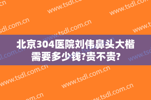 北京304医院刘伟鼻头大楷需要多少钱?贵不贵?