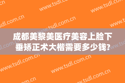 成都美黎美医疗美容上脸下垂矫正术大楷需要多少钱?需要多久恢复?(黎美整形医院地址)