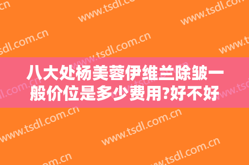 八大处杨美蓉伊维兰除皱一般价位是多少费用?好不好?