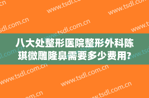 八大处整形医院整形外科陈琪微雕隆鼻需要多少费用?可靠吗?(整容整形)
