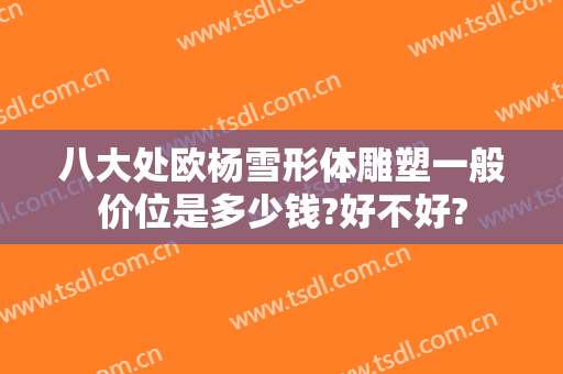 八大处欧杨雪形体雕塑一般价位是多少钱?好不好?