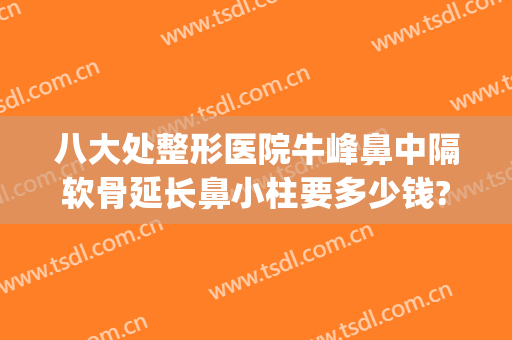 八大处整形医院牛峰鼻中隔软骨延长鼻小柱要多少钱?怎么样?(北京八大处鼻部整形)