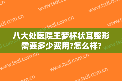 八大处医院王梦杯状耳整形需要多少费用?怎么样?