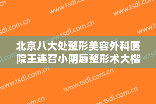 北京八大处整形美容外科医院王连召小阴唇整形术大楷需要多少钱?贵不贵?