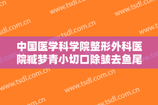 中国医学科学院整形外科医院臧梦青小切口除皱去鱼尾纹大楷需要多少费用?可靠吗?