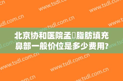 北京协和医院孟湉脂肪填充鼻部一般价位是多少费用?靠谱吗?(北京协和整鼻子价格)