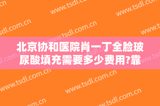 北京协和医院肖一丁全脸玻尿酸填充需要多少费用?靠谱吗?