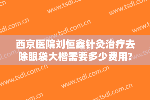 西京医院刘恒鑫针灸治疗去除眼袋大楷需要多少费用?有哪些优势?