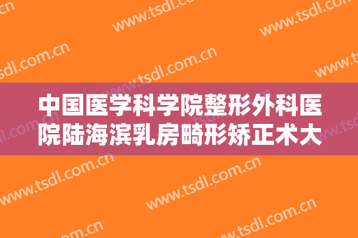 中国医学科学院整形外科医院陆海滨乳房畸形矫正术大楷需要多少费用?靠谱吗?