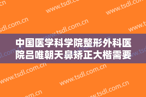 中国医学科学院整形外科医院吕唯朝天鼻矫正大楷需要多少费用?贵不贵?