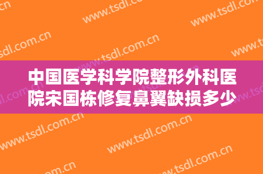 中国医学科学院整形外科医院宋国栋修复鼻翼缺损多少钱?可靠吗?