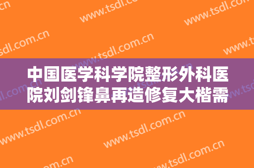 中国医学科学院整形外科医院刘剑锋鼻再造修复大楷需要多少钱?贵不贵?