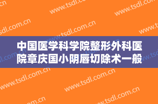 中国医学科学院整形外科医院章庆国小阴唇切除术一般价位是多少?贵不贵?