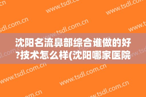 沈阳名流鼻部综合谁做的好?技术怎么样(沈阳哪家医院擅长做鼻综合)