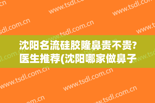 沈阳名流硅胶隆鼻贵不贵?医生推荐(沈阳哪家做鼻子整形好)