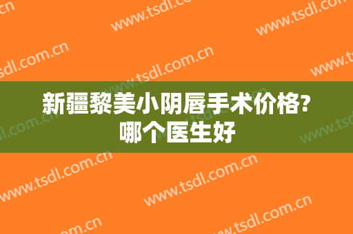 新疆黎美小阴唇手术价格?哪个医生好
