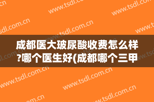 成都医大玻尿酸收费怎么样?哪个医生好(成都哪个三甲医院可以打玻尿酸)