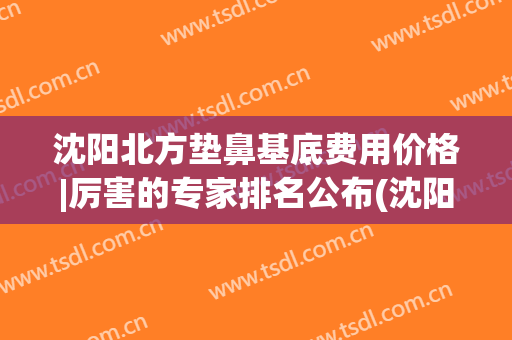 沈阳北方垫鼻基底费用价格|厉害的专家排名公布(沈阳垫鼻子多少钱)