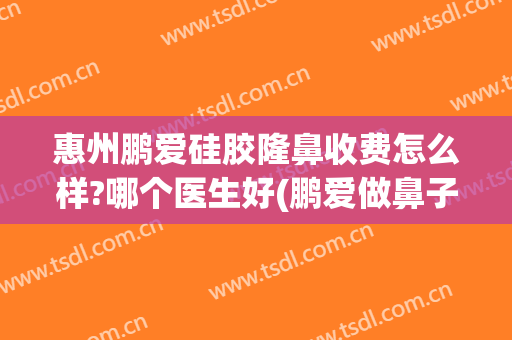 惠州鹏爱硅胶隆鼻收费怎么样?哪个医生好(鹏爱做鼻子怎么样)