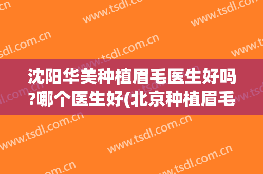 沈阳华美种植眉毛医生好吗?哪个医生好(北京种植眉毛正规医院)