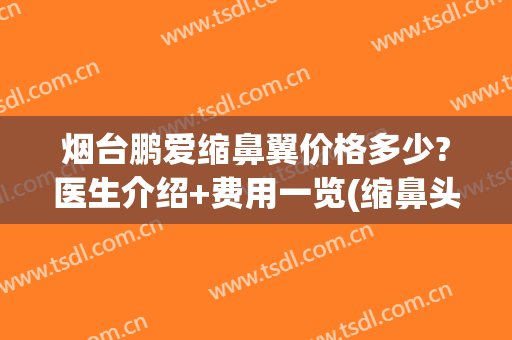 烟台鹏爱缩鼻翼价格多少?医生介绍+费用一览(缩鼻头缩鼻翼多少钱)