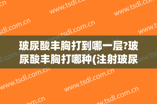 玻尿酸丰胸打到哪一层?玻尿酸丰胸打哪种(注射玻尿酸丰胸的步骤图片)