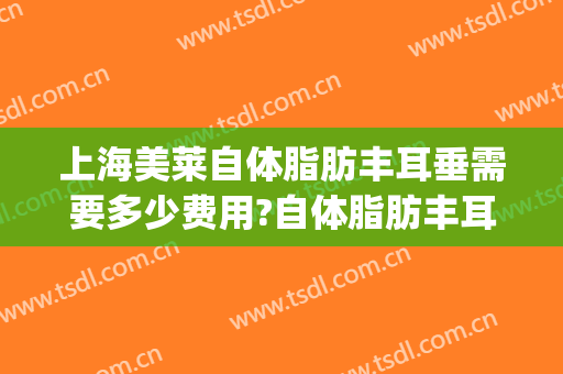 上海美莱自体脂肪丰耳垂需要多少费用?自体脂肪丰耳垂医生有谁(美莱吸脂丰胸的价格)