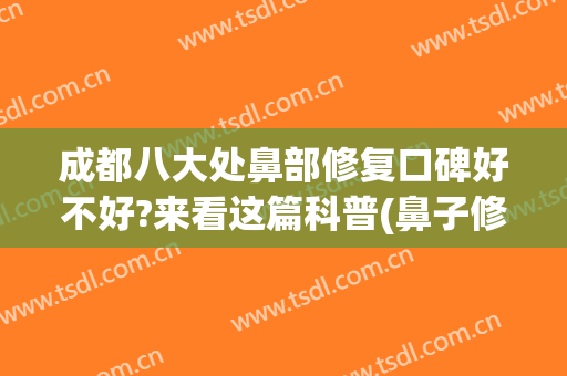 成都八大处鼻部修复口碑好不好?来看这篇科普(鼻子修复率很高)