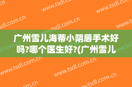 广州雪儿海蒂小阴唇手术好吗?哪个医生好?(广州雪儿海蒂医院好不好)