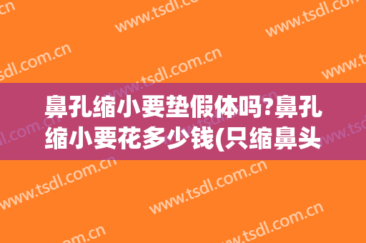 鼻孔缩小要垫假体吗?鼻孔缩小要花多少钱(只缩鼻头鼻翼不做假体多少钱)