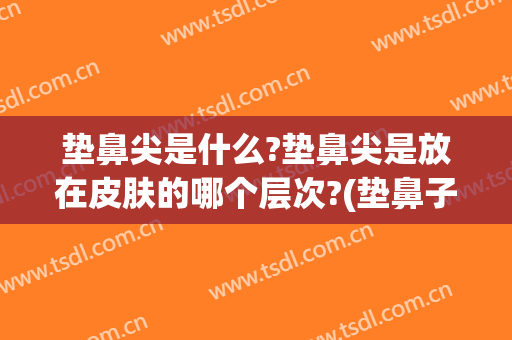 垫鼻尖是什么?垫鼻尖是放在皮肤的哪个层次?(垫鼻子鼻尖)