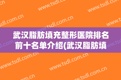 武汉脂肪填充整形医院排名前十名单介绍(武汉脂肪填充)