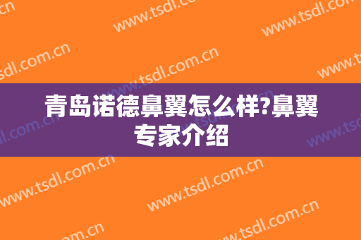 青岛诺德鼻翼怎么样?鼻翼专家介绍