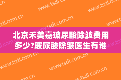 北京禾美嘉玻尿酸除皱费用多少?玻尿酸除皱医生有谁(医美玻尿酸价格)