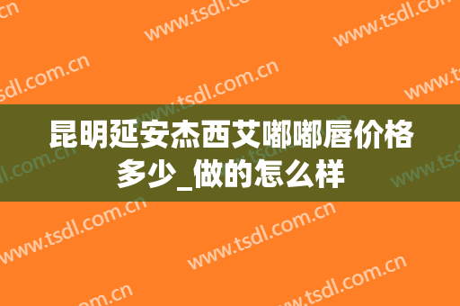 昆明延安杰西艾嘟嘟唇价格多少_做的怎么样