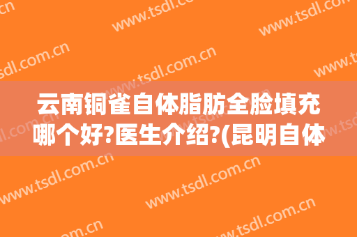 云南铜雀自体脂肪全脸填充哪个好?医生介绍?(昆明自体脂肪填充医院去铜雀台锁定)