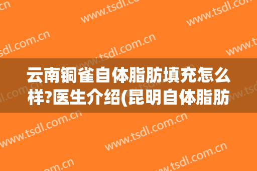 云南铜雀自体脂肪填充怎么样?医生介绍(昆明自体脂肪填充医院去铜雀台锁定)