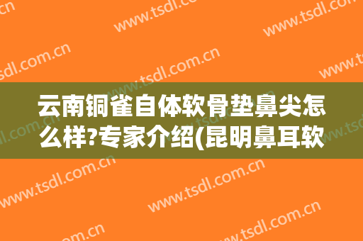 云南铜雀自体软骨垫鼻尖怎么样?专家介绍(昆明鼻耳软骨在哪 .铜雀台怎么样)