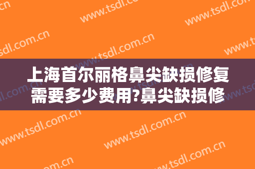 上海首尔丽格鼻尖缺损修复需要多少费用?鼻尖缺损修复哪个医生好