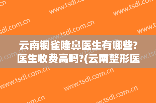 云南铜雀隆鼻医生有哪些?医生收费高吗?(云南整形医院铜雀台能在线咨询吗)