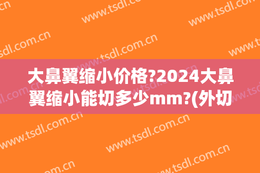 大鼻翼缩小价格?2024大鼻翼缩小能切多少mm?(外切鼻翼缩小多少钱)