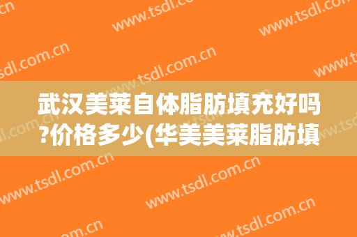 武汉美莱自体脂肪填充好吗?价格多少(华美美莱脂肪填充脸部多少钱)