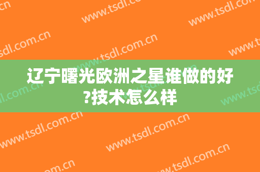 辽宁曙光欧洲之星谁做的好?技术怎么样
