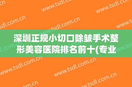 深圳正规小切口除皱手术整形美容医院排名前十(专业微切口去皱纹) 深圳正规小切口除皱手术整形美容医院排名前十(专业微切口去皱纹)